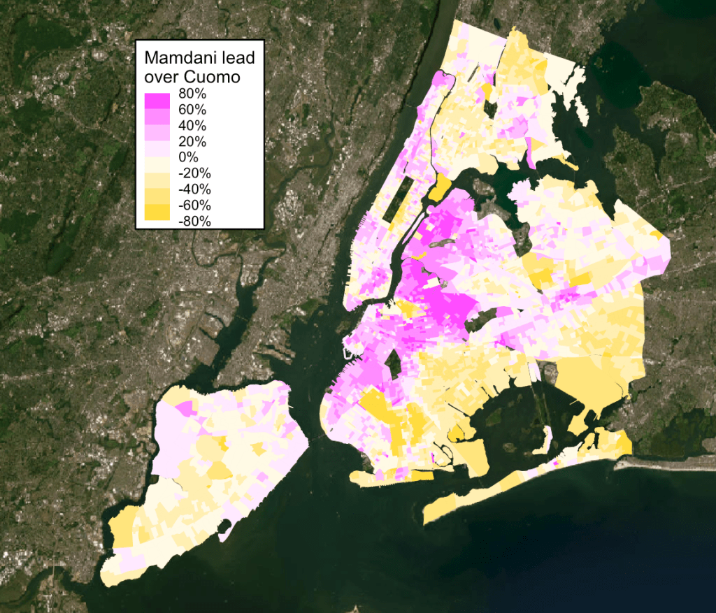 Who voted for Zohran&nbsp;Mamdani?